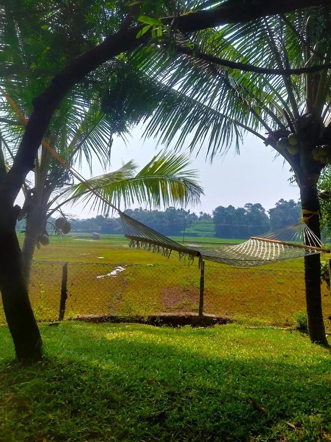 Mynaakom Country Home Kochi Thalayolaparambu