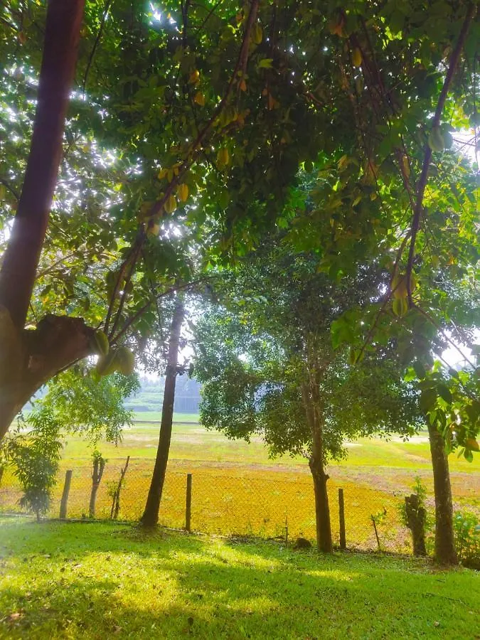 Lodge Mynaakom Country Home Kochi Thalayolaparambu