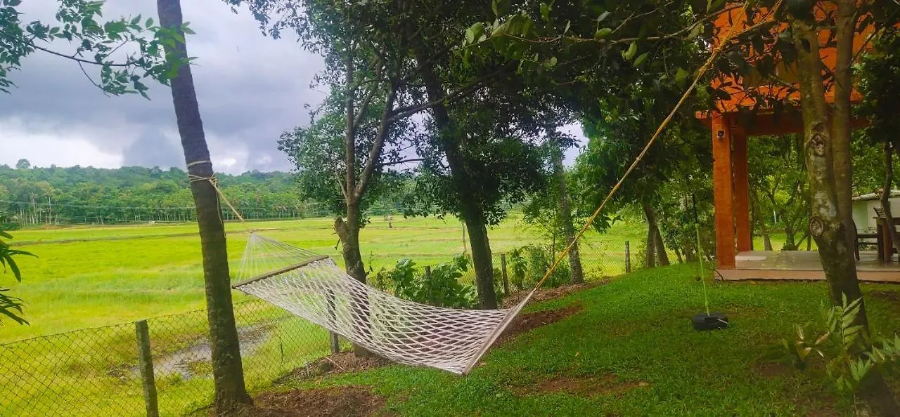 Mynaakom Country Home Kochi Thalayolaparambu India