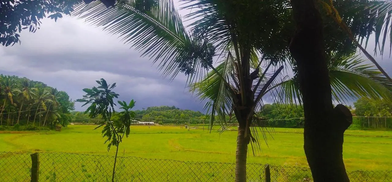Mynaakom Country Home Kochi Thalayolaparambu Lodge